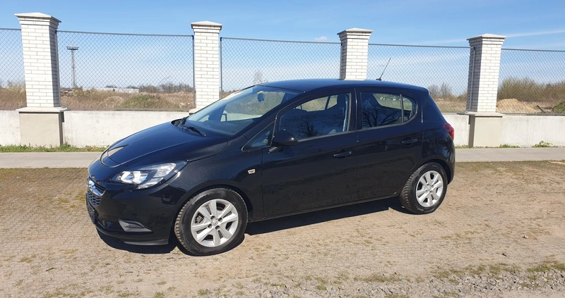 Opel Corsa cena 35999 przebieg: 82787, rok produkcji 2017 z Skórcz małe 92